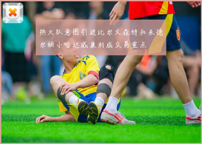 热火队意图引进比尔文森特和米德尔顿小哈达威康利成交易重点