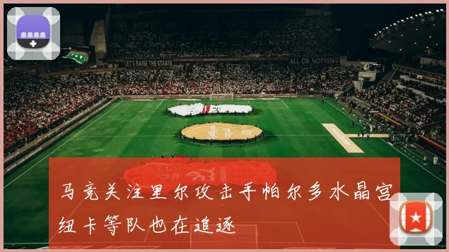 马竞关注里尔攻击手帕尔多水晶宫纽卡等队也在追逐